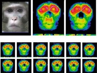 Application and Research of Infrared Thermal Imaging Technology in Biometric Detection